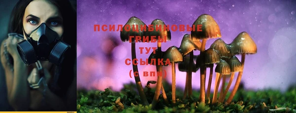 ешки Михайловск