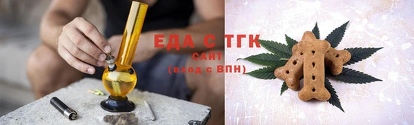 индика Медногорск