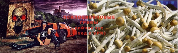 молекула духа Михайлов