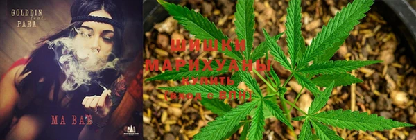 мяу мяу мука Михайловка