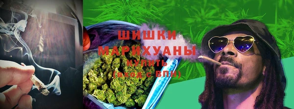 молекула духа Михайлов